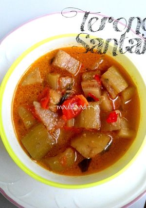 Foto resep 44. Terong Masak Santan