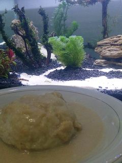 Foto resep Ketan duren