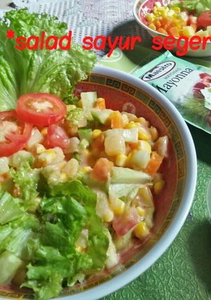 Foto resep *salad sayur seger*