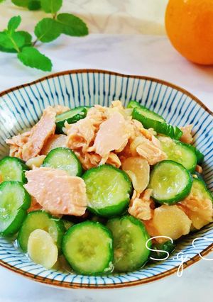 涼拌嫩薑鮪魚小黃瓜 的食譜成品照片
