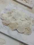 Agnolotis caseros de verdura y salsa blanca
