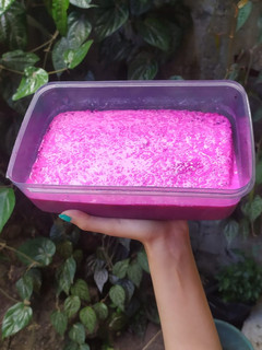 Foto resep Ice cream dragon fruit
