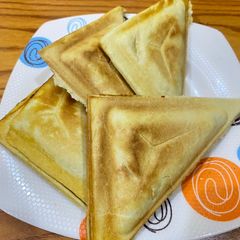 A picture of Meatpie in a sandwich toaster.