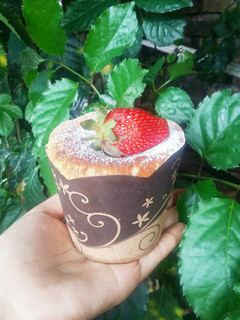 Foto resep Yoghurt Chiffon Cupcake