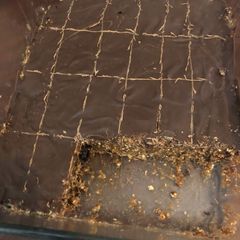 A picture of Date Protein Bars.