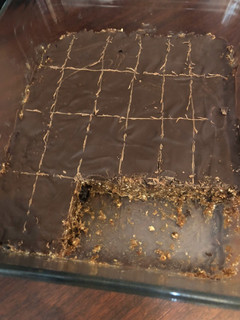 A picture of Date Protein Bars.