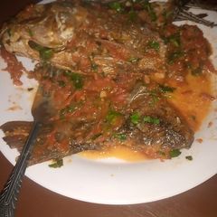 A picture of Fish.