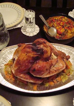 A picture of Christmas Bird.