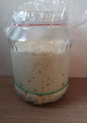 Lievito Madre kovász recept fotója