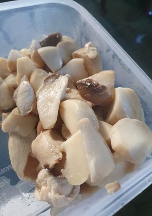 รูปของ ออรินจิไก๊ไก่