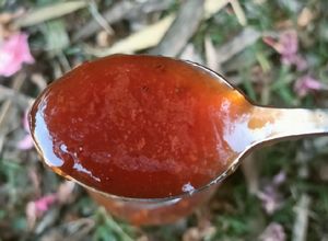 Une photo de 🍉 Confiture de pastèque aux Zestes de citron