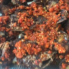 A picture of Peppered Grilled Croacker Fish.