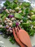Ensalada de Porotos Blancos, Palta y Berros