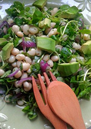 Una foto de Ensalada de Porotos Blancos, Palta y Berros