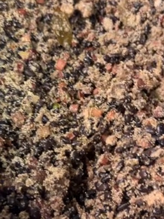 Foto de Feijão tropeiro