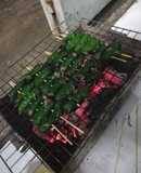 Bò nướng lá lốp