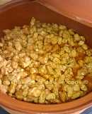 Zorza Gallega Casera