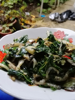 Foto resep Oseng daun pepaya jepang