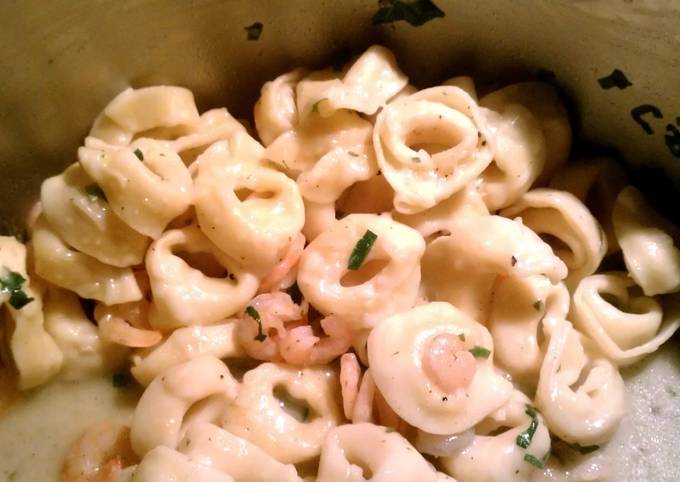 Easiest Way to Prepare Homemade Shrimp Tortellini