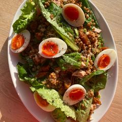 A picture of Tuna, lentil and egg salad.