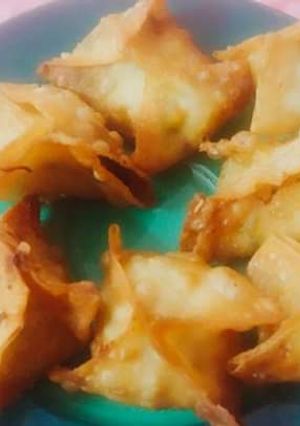 A picture of Fry Wonton.