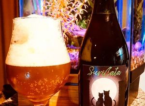 Una foto de IPA (Indian Pale Ale)