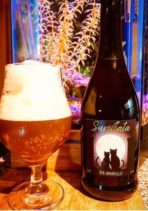 Una foto de IPA (Indian Pale Ale)