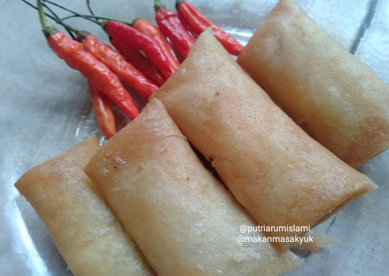 Martabak / Risol tahu