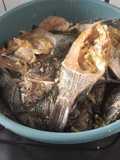 Ikan goreng Mujair bumbu kuning