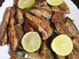 سمك بوڨا🐟