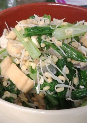 Foto resep Tumis Chaisin tahu tauge