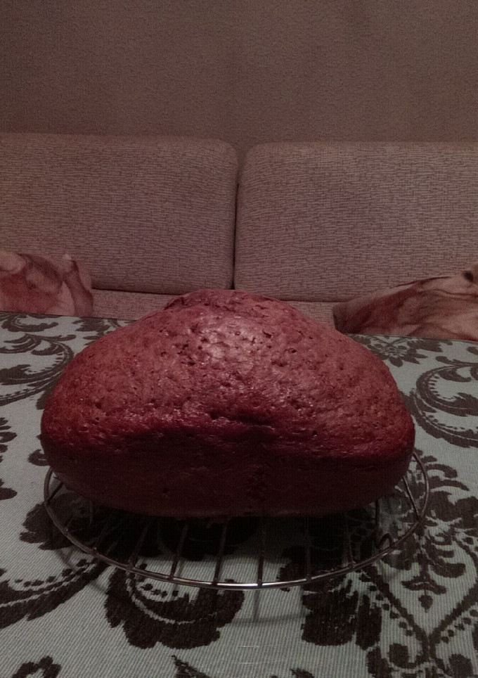 Una foto de Bizcocho de natillas chocolate panificadora Princess