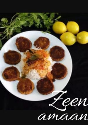A picture of Hyderabadi Shaami Kabaabs.