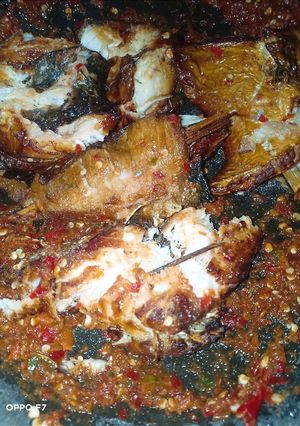 Foto resep Ikan Mangut Sambel Terasi