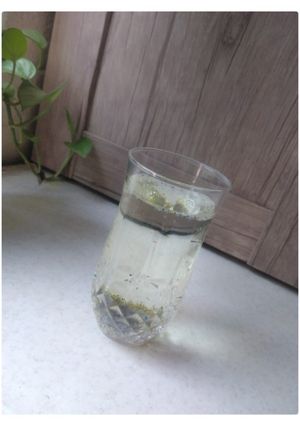 عکسی از دستور شربت تابستانی☀️🌱