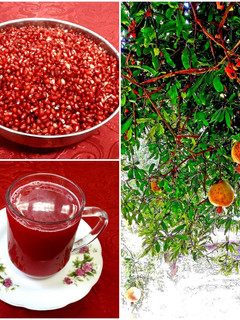 عکسی از دستور آب انار