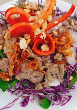 Hình của món Gỏi bò bắp cải tím.