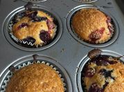 A picture of cranberry blueberry