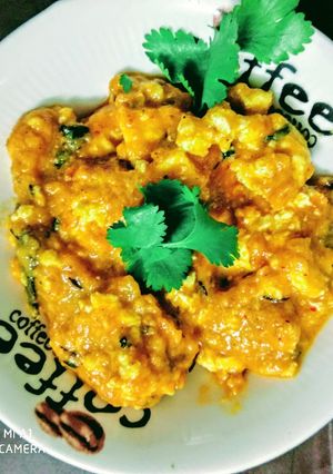 A picture of Sahi paneer.