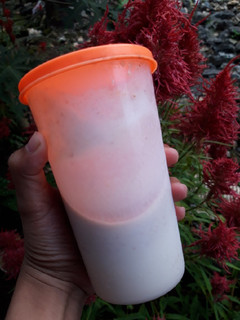 Foto resep Susu kurma + madu