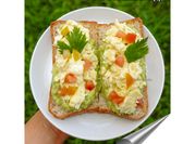 Gambar alpukat telur