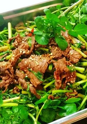 Hình của món Salát Bò và Cải Xoong.