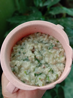 Foto resep Nasi Tim Hati Bayam (MPASI 9+)