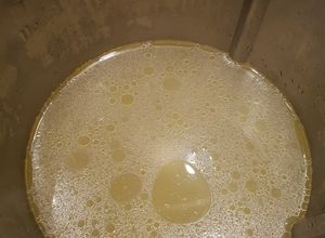 Foto principal de Caldo sencillo de pollo en thermomix