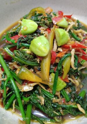 Foto resep Pakis Teri