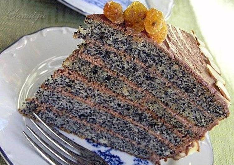 ���� ������������ ������ � ��������� ���� ������ �����