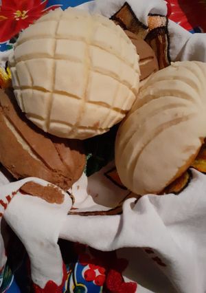 Una foto de Conchas