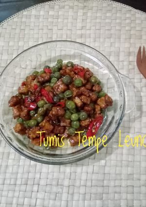 Foto resep Tumis tempe leunca simpel dan enak