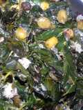 Murungai keerai (Drumstick Spinach) Curry- Tamilnadu Special