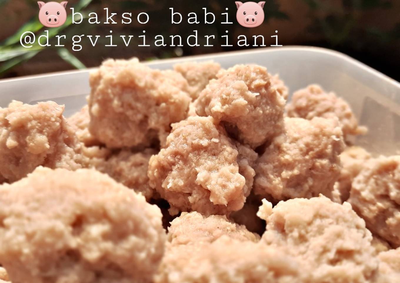 Bakso babi v.2